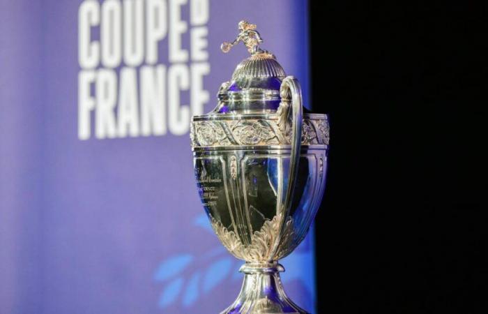 Coupe de France und National 2 live ab 13:45 Uhr.