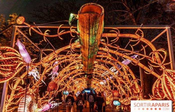 Jura im Prozess der Erleuchtung: das Lichterfest 2024-2025 im Jardin des Plantes – Fotos