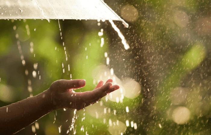 Wochenendwetter: Mantel und Regenschirm fallen an diesem Herbstwochenende aus