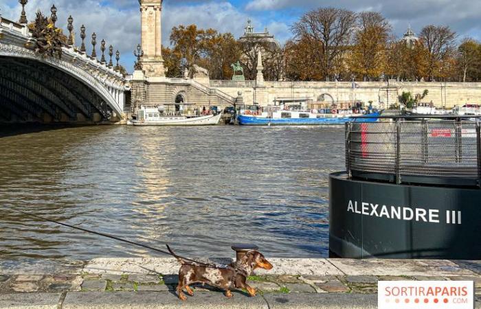 Pariser Wurstspaziergang 2024: Der Dackelspaziergang kehrt diesen Sonntag in die Hauptstadt zurück!