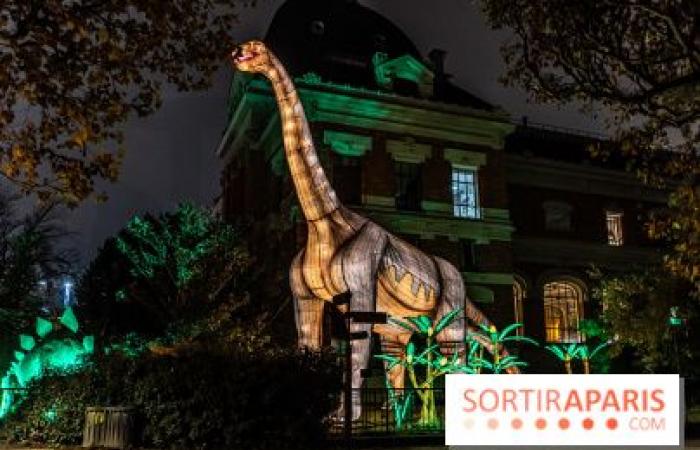 Jura im Prozess der Erleuchtung: das Lichterfest 2024-2025 im Jardin des Plantes – Fotos