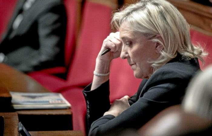 Marine Le Pen prangert ein „politisches Todesurteil“ an