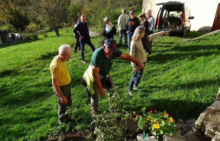 In dieser Gemeinde im Haut-Jura wird das Abwasser durch Schilfrohre gefiltert