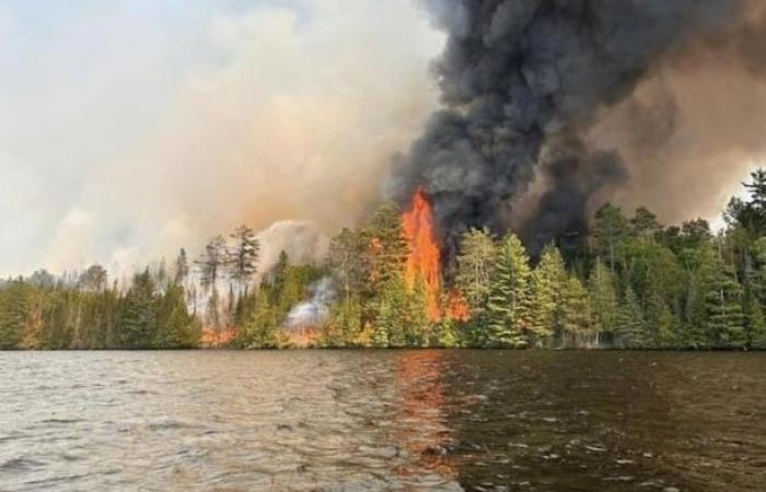 Mann aus Ottawa bekennt sich im Zusammenhang mit dem Waldbrand am Centennial Lake schuldig