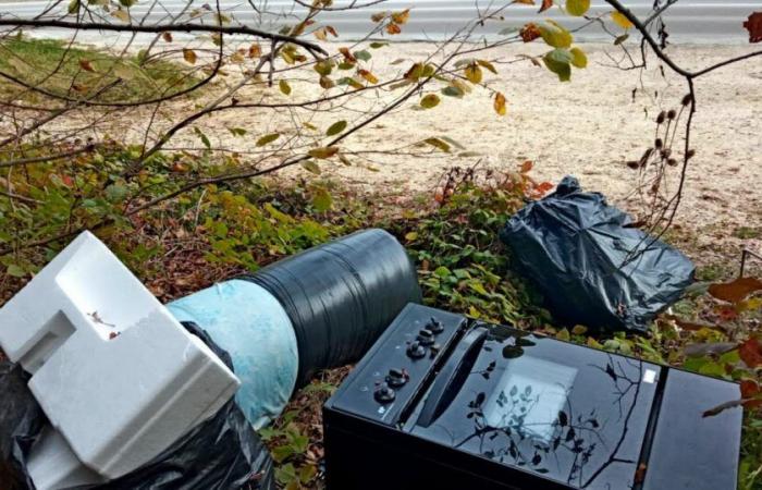 Houtaud. Noch eine wilde Müllkippe am Waldrand beobachtet