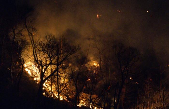 Feuerwehrleute sind der Eindämmung des Lauffeuers an der Grenze zwischen New Jersey und New York näher gekommen