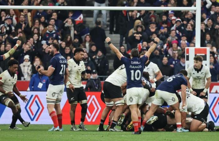 ANALYSE. Die Blues zeigten enormen Mut und Willen, die All Blacks zu stürzen