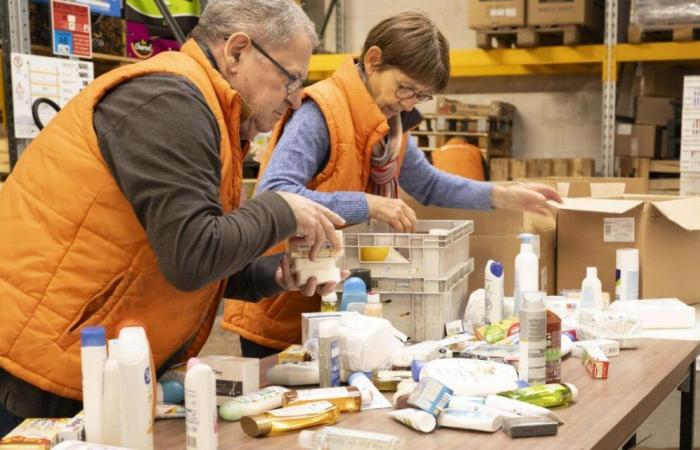 „Jedes Produkt zählt“: In Brest bereitet die Lebensmittelbank des Finistère ihre große jährliche Kollektion vor