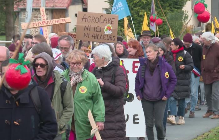 „Wir wollen es nicht.“ Fast 500 Menschen demonstrieren gegen ein Mega-Tomaten-Gewächshausprojekt im Ärmelkanal