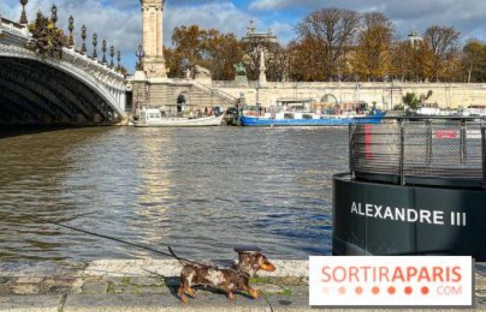 Pariser Wurstspaziergang 2024: Der Dackelspaziergang kehrt diesen Sonntag in die Hauptstadt zurück!