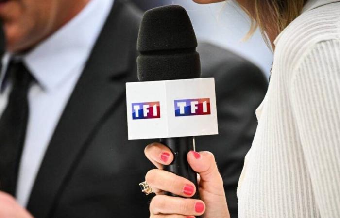 Nach der Rugby-Weltmeisterschaft hat TF1 das Sechs-Nationen-Turnier im Auge