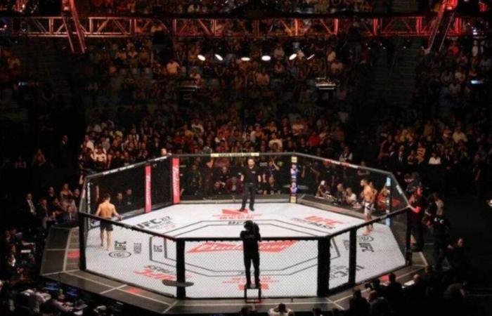 Chandler: Auf welchem ​​Kanal und zu welcher Uhrzeit kann man den UFC 309-Kampf live verfolgen?