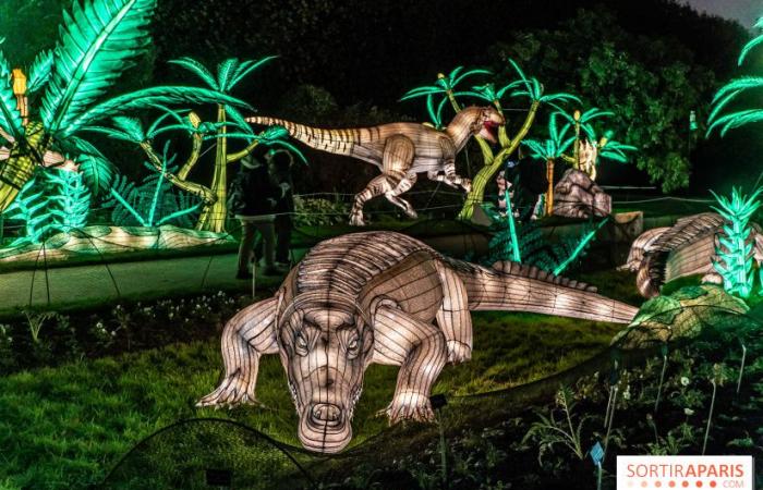 Jura im Prozess der Erleuchtung: das Lichterfest 2024-2025 im Jardin des Plantes – Fotos