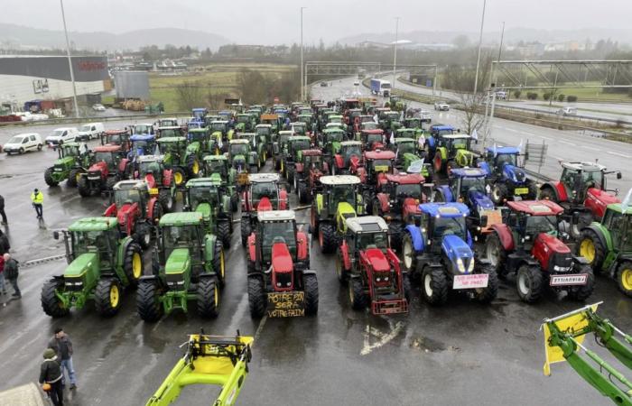 Auch an diesem Montag gehen die Bauern wieder auf die Straße