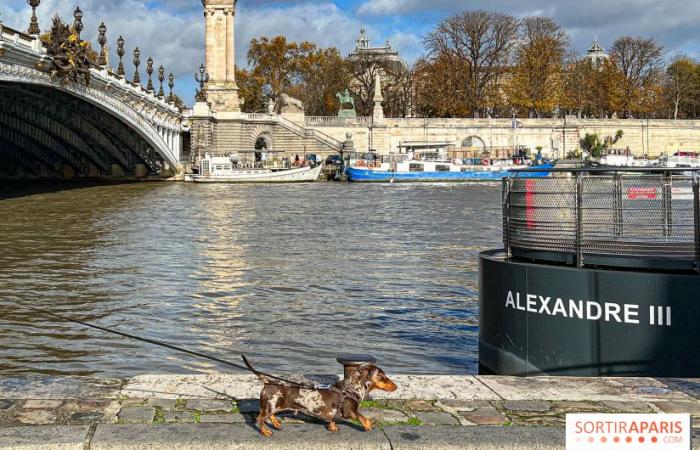 Pariser Wurstspaziergang 2024: Der Dackelspaziergang kehrt diesen Sonntag in die Hauptstadt zurück!