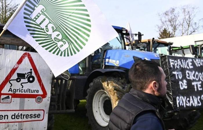 Was werden die Landwirte in Loire-Atlantique tun, die den Vereinbarungen mit dem Mercosur feindlich gegenüberstehen?