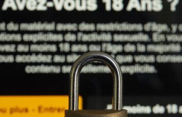 In Frankreich sind vier pornografische Websites gesperrt, weil sie das Alter ihrer Nutzer nicht überprüfen