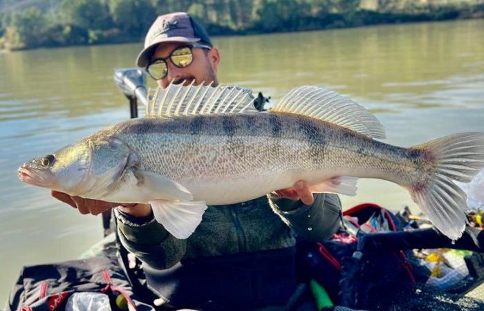 Was ist das für ein Fisch, den wir im Herbst an den Flüssen der Aude fangen?