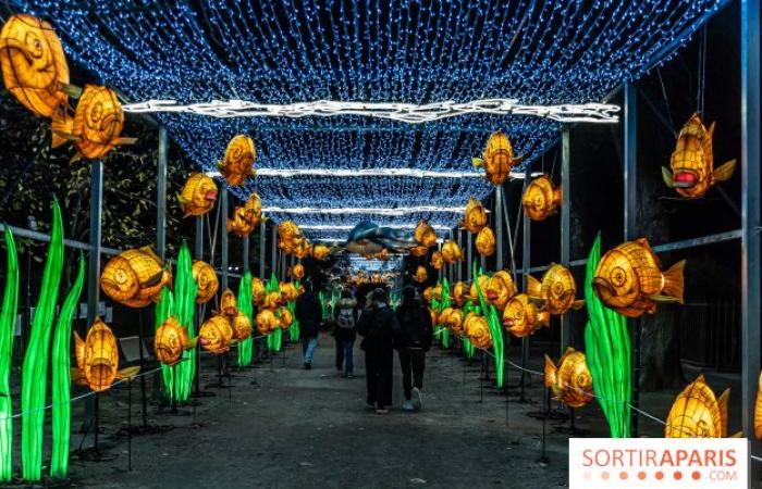 Jura im Prozess der Erleuchtung: das Lichterfest 2024-2025 im Jardin des Plantes – Fotos