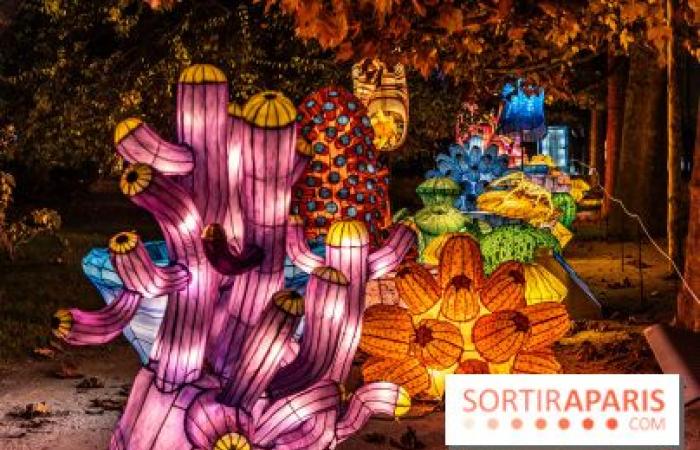 Jura im Prozess der Erleuchtung: das Lichterfest 2024-2025 im Jardin des Plantes – Fotos