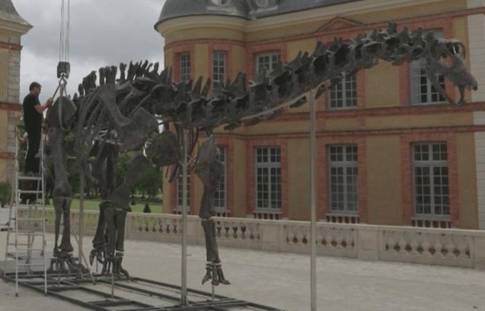 Ein riesiger Dinosaurier, der in Yvelines zum Verkauf steht