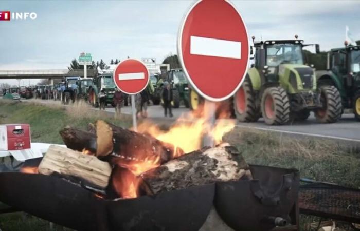 Wütende Bauern: Für diesen Montag ist in Frankreich eine neue Mobilisierung geplant