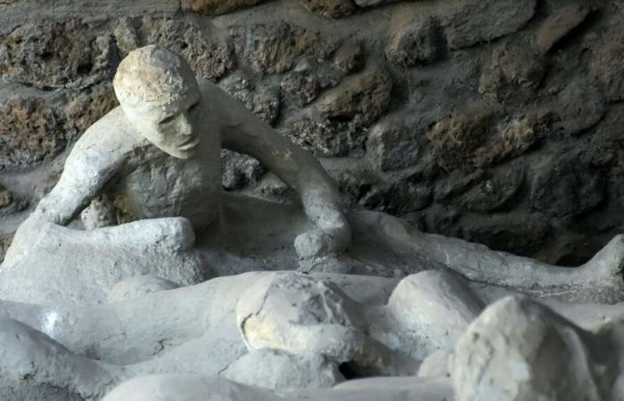 DNA-Analyse widerspricht Theorien über Opfer von Pompeji