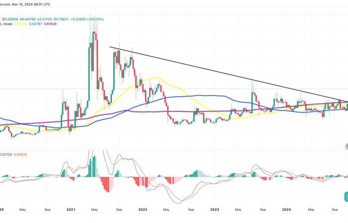 XRP übertrifft den Kryptomarkt mit einem Anstieg von 17 % – Was treibt die Rally an?