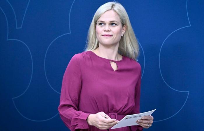 Schweden: Ministerin hat Bananen-Phobie – ihr Team prüft alle Räume | Politik