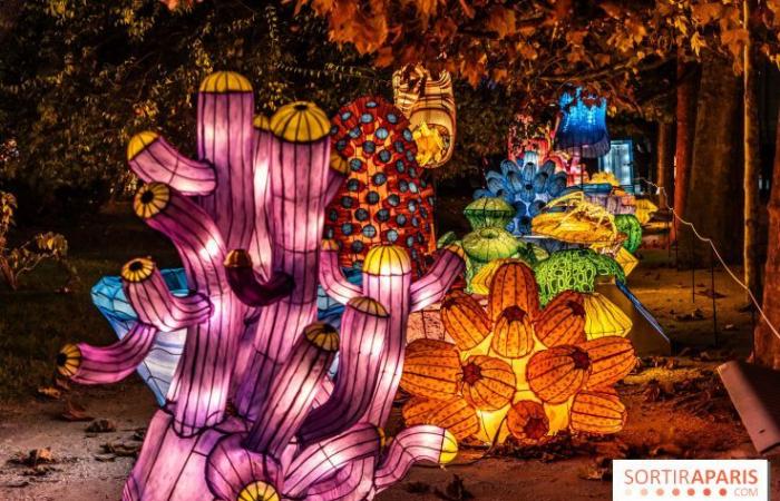 Jura im Prozess der Erleuchtung: das Lichterfest 2024-2025 im Jardin des Plantes – Fotos