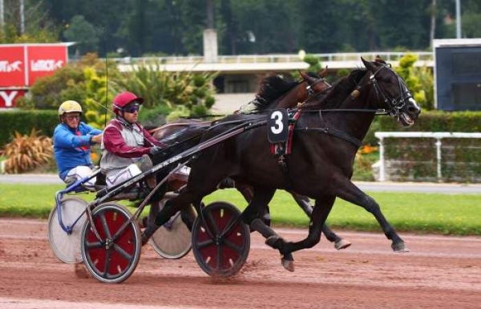 Kostenlose Vorhersage zum PRIX DE PROVENCE