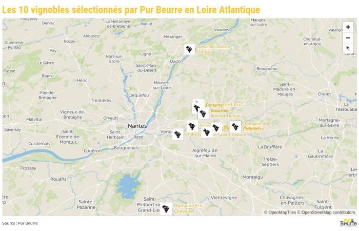 KARTE. Muscadet, durch diese zehn Weingüter in der Loire-Atlantique