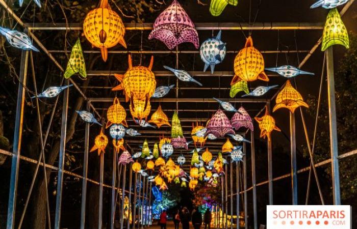 Jura im Prozess der Erleuchtung: das Lichterfest 2024-2025 im Jardin des Plantes – Fotos