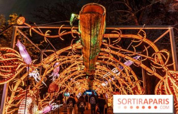 Jura im Prozess der Erleuchtung: das Lichterfest 2024-2025 im Jardin des Plantes – Fotos