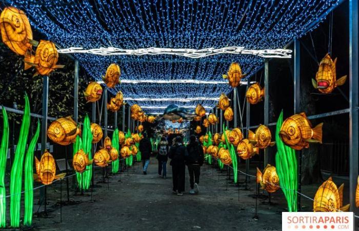 Jura im Prozess der Erleuchtung: das Lichterfest 2024-2025 im Jardin des Plantes – Fotos