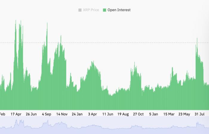 XRP übertrifft den Kryptomarkt mit einem Anstieg von 17 % – Was treibt die Rally an?