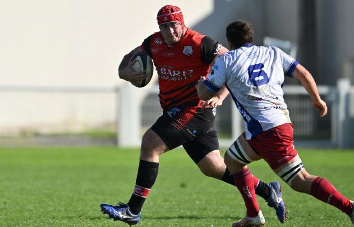 Amateur-Rugby – Federal 1: „Unglaublich, was unser Team aus der ganzen Welt anzieht …“ Euphorischer Spitzenreiter Gaillac beim Castelsarrasin-Test