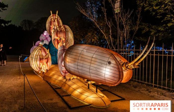 Jura im Prozess der Erleuchtung: das Lichterfest 2024-2025 im Jardin des Plantes – Fotos