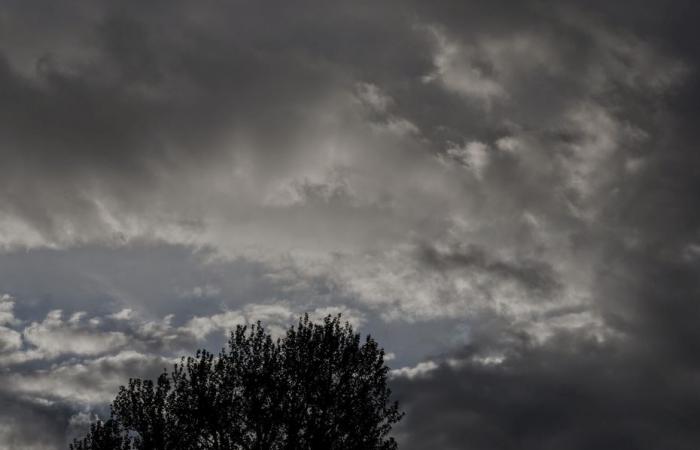 Wetterbericht. Wie ist das Wetter an diesem Samstag, den 16. November in Hauts-de-France?