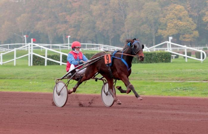 Lalbane Star kommt am schnellsten ins Ziel