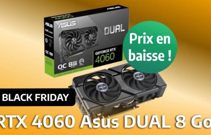 Zum Black Friday ist die Asus RTX 4060 8 GB zu einem selten zu sehenden Preis erhältlich