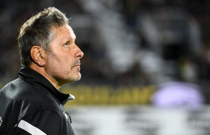 Pro D2 – „Ich bin Trainer, ich erlaube mir nicht, die Entscheidung des Schiedsrichters in Frage zu stellen“: die Klasse von Mauricio Reggiardo trotz der Niederlage in Biarritz