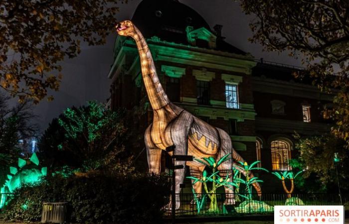 Jura im Prozess der Erleuchtung: das Lichterfest 2024-2025 im Jardin des Plantes – Fotos