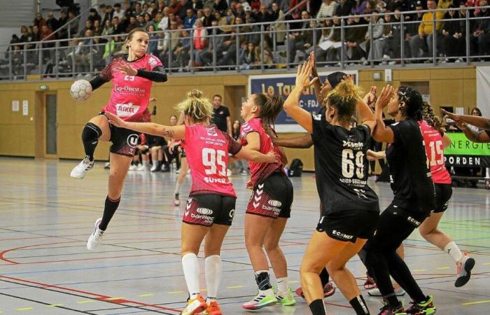 NF1: Ein heldenhafter Roz Hand’Du 29 zähmt Noisy