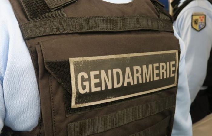 Er sei mit dem Opfer „verwechselt“ worden: In Morbihan klagt der Händler einen Mord im Haus eines seiner Kunden an