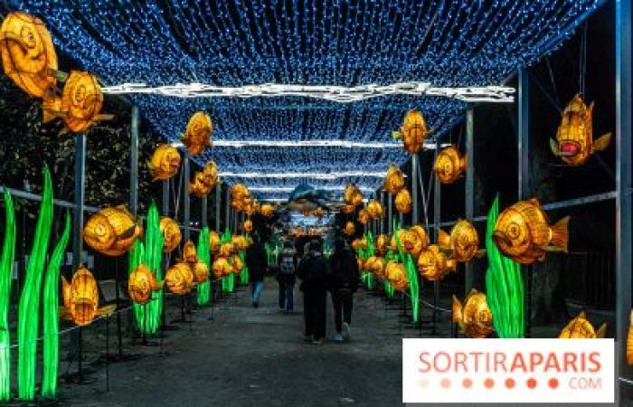 Jura im Prozess der Erleuchtung: das Lichterfest 2024-2025 im Jardin des Plantes – Fotos