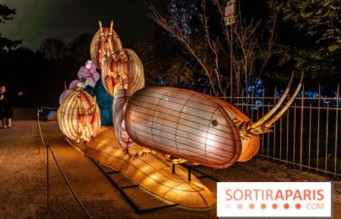 Jura im Prozess der Erleuchtung: das Lichterfest 2024-2025 im Jardin des Plantes – Fotos