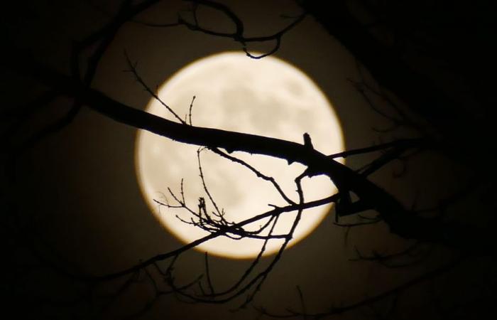 FOTOS. Der letzte „Supermond“ des Jahres erleuchtete den Himmel, ein beeindruckendes Schauspiel am Nachthimmel