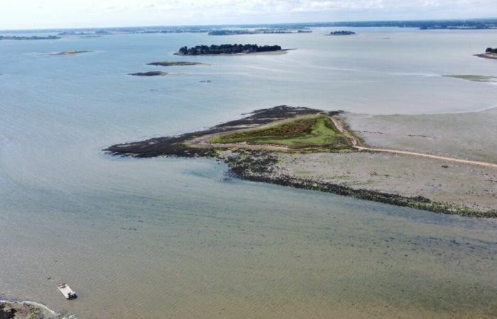 In der Nähe von Vannes ist dieses kleine Paradies nur bei Ebbe zugänglich