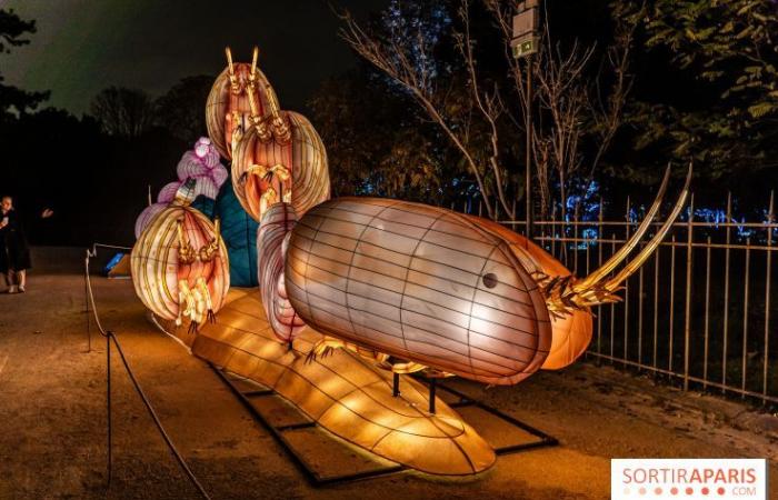 Jura im Prozess der Erleuchtung: das Lichterfest 2024-2025 im Jardin des Plantes – Fotos